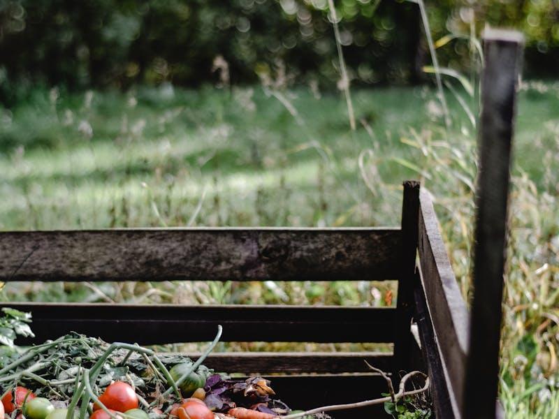 Composting Sanitation